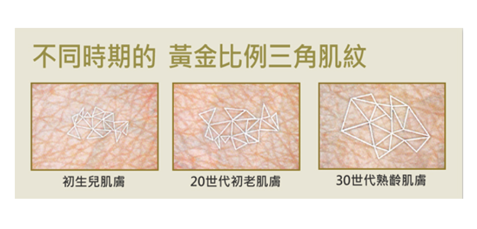 告別奔三的初老肌