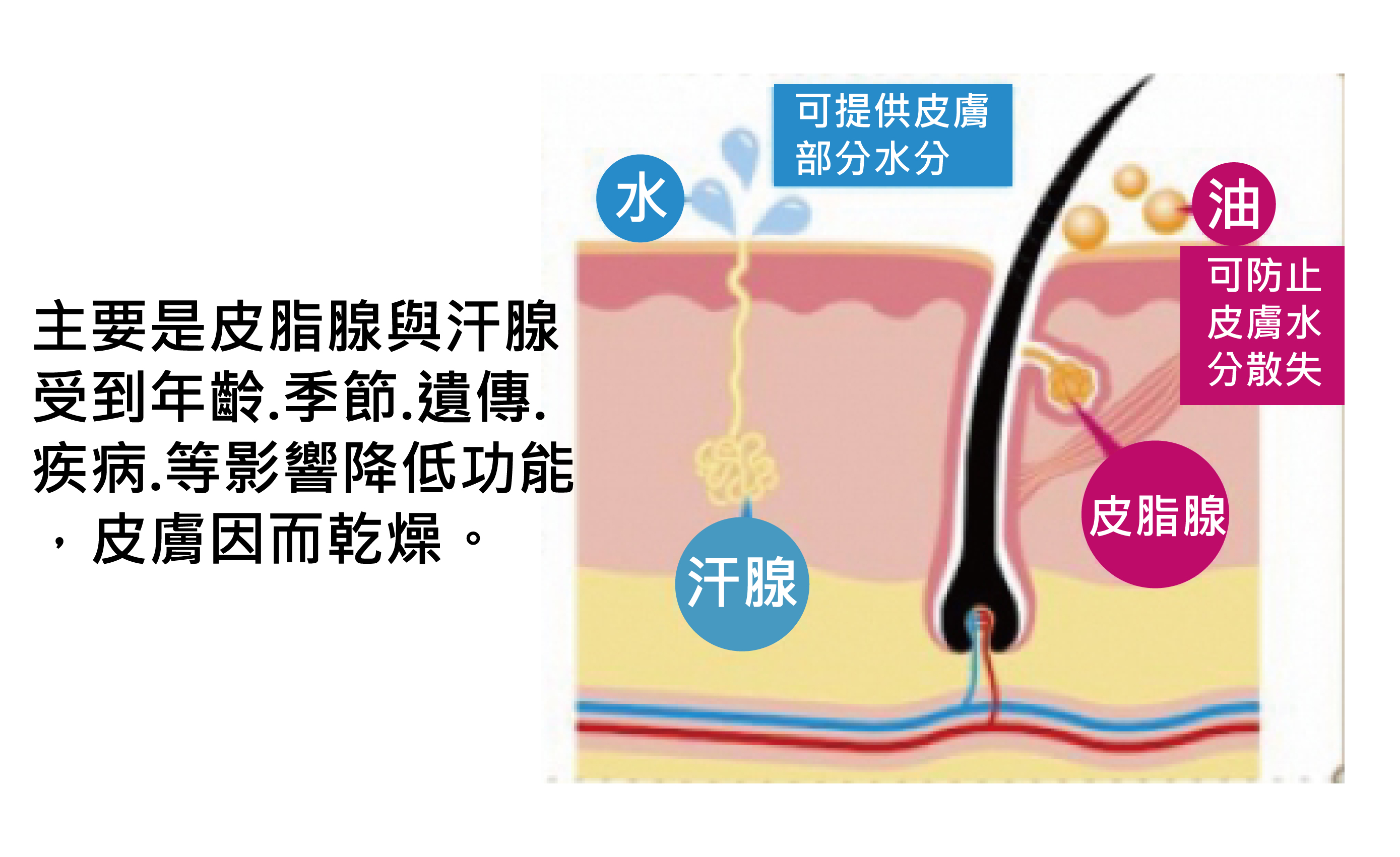 什麼是冬季癢