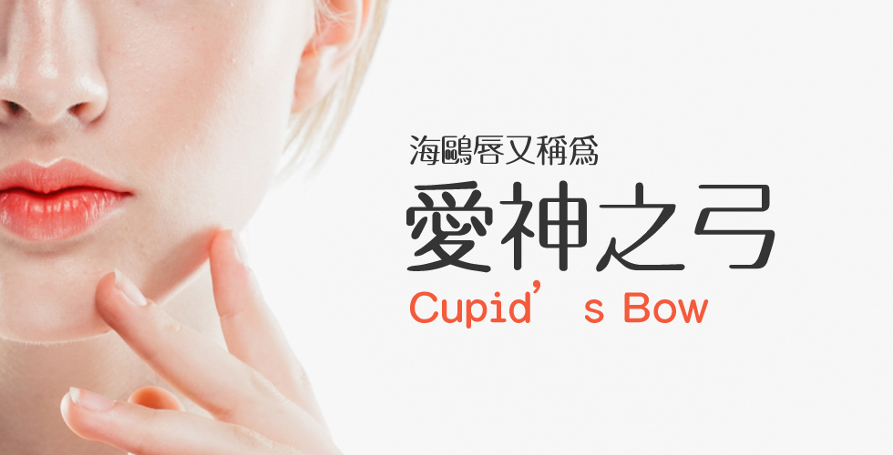 蕭弘道醫師評價海鷗唇/豐唇(盧靜怡醫療團隊)