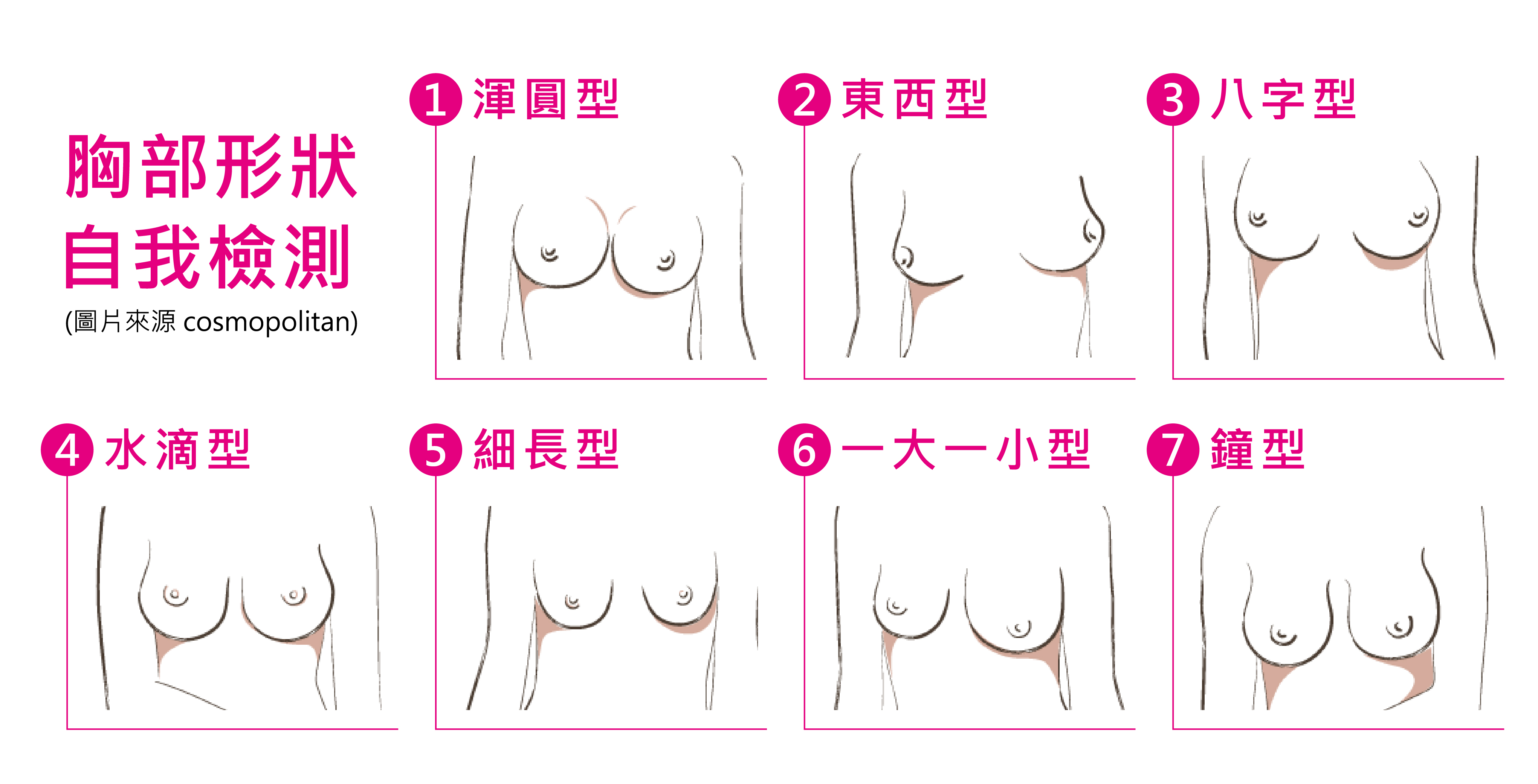 量身訂做美胸 穿出自信傲人