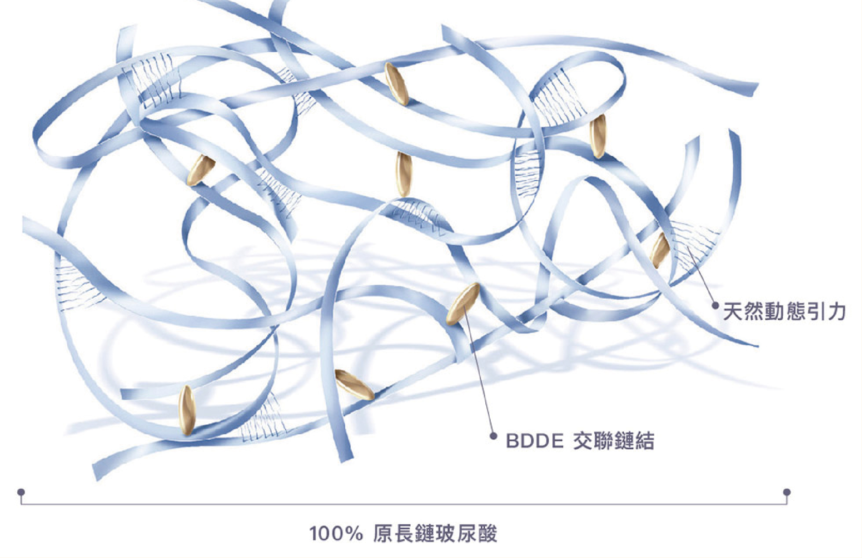 iSKIN嚴選玻尿酸品牌