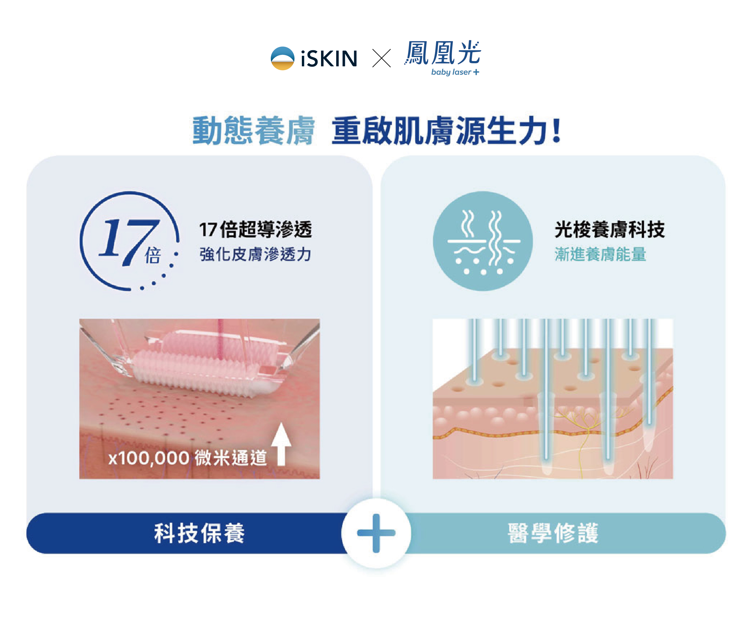 為什麼鳳凰光能讓保養品吸收效果提升？